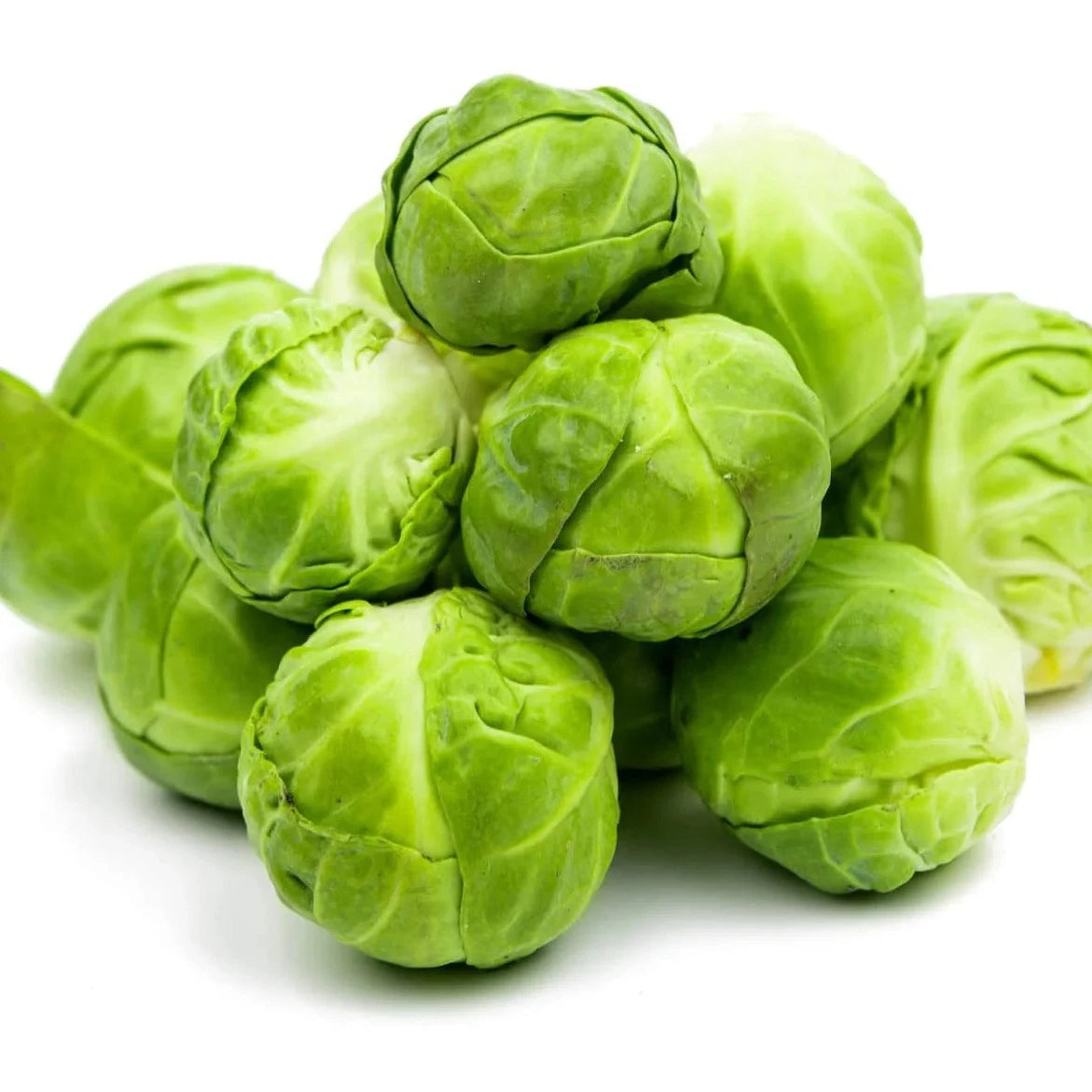 Brussel Sprouts 30 Seeds