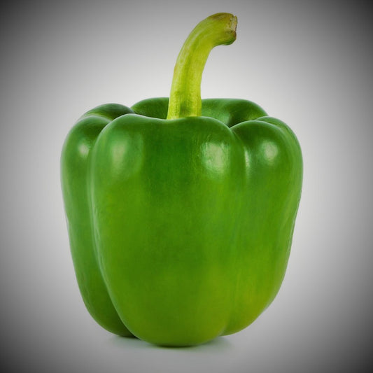 F1 Capsicum 15 Seeds
