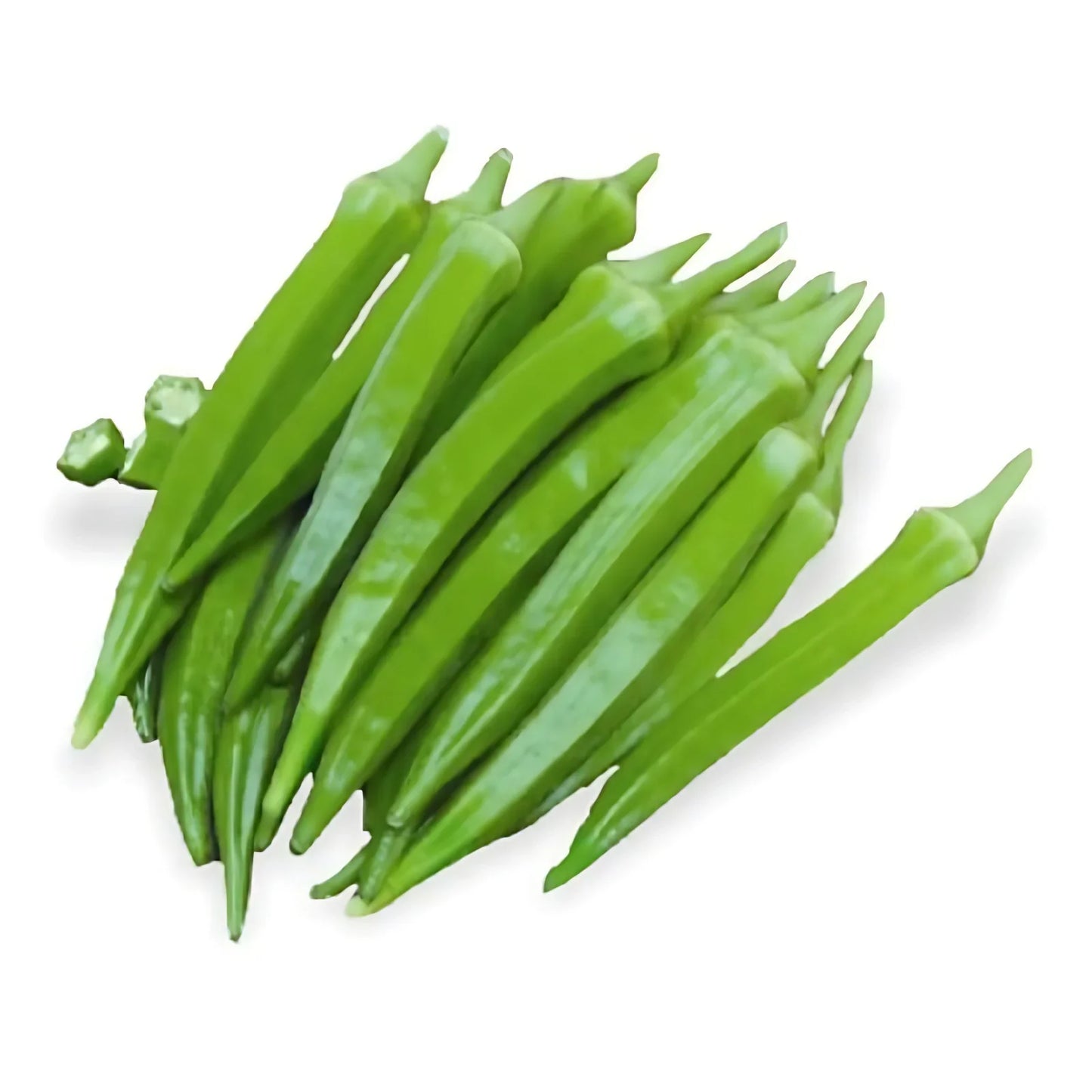 F1 Hybrid Bhindi 50+ Seeds